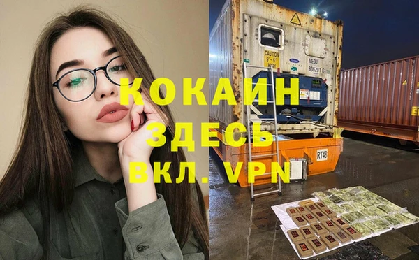 прущие грибы Козельск