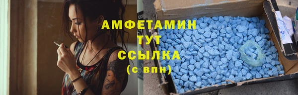 прущие грибы Козельск