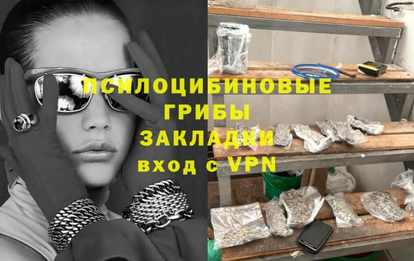 прущие грибы Козельск