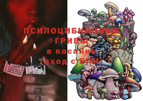 прущие грибы Козельск
