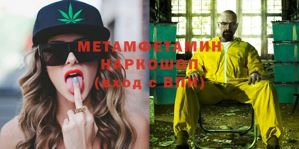 прущие грибы Козельск