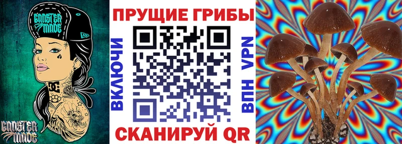 Псилоцибиновые грибы мицелий  Купить где  Междуреченск 